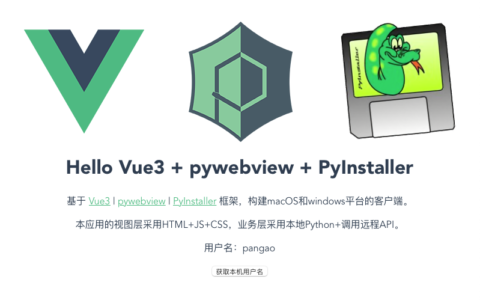 pywebview 页面请求数据总是报错：TypeError: Cannot read properties of undefined (reading 'api')