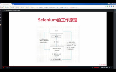 Selenium 入门教程：网页自动化操作