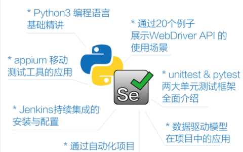 Python 中使用 Selenium 进行自动化测试